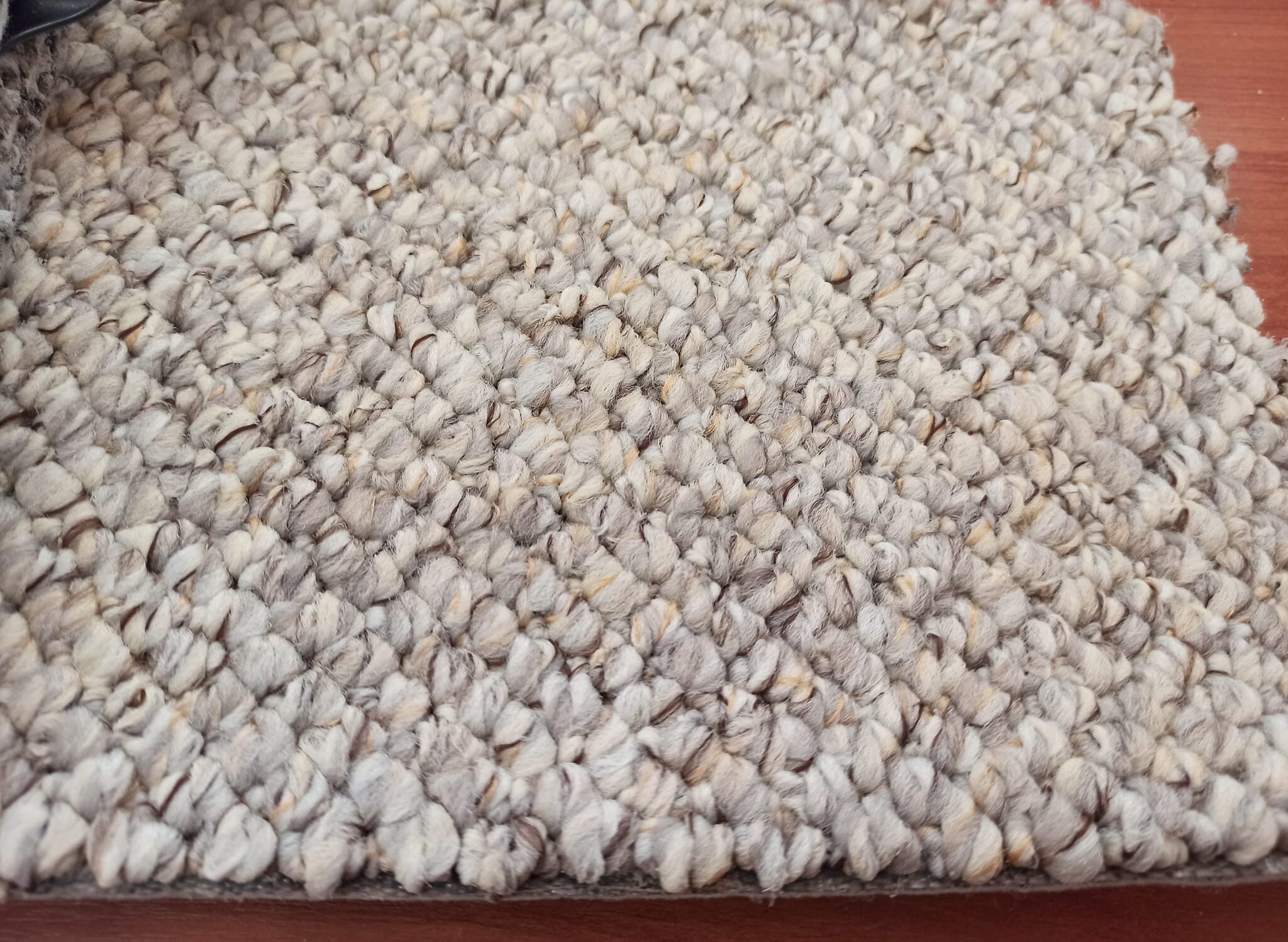 Μοκέτα οικολογική μπουκλέ MASSIV GREIGE - Με το μέτρο